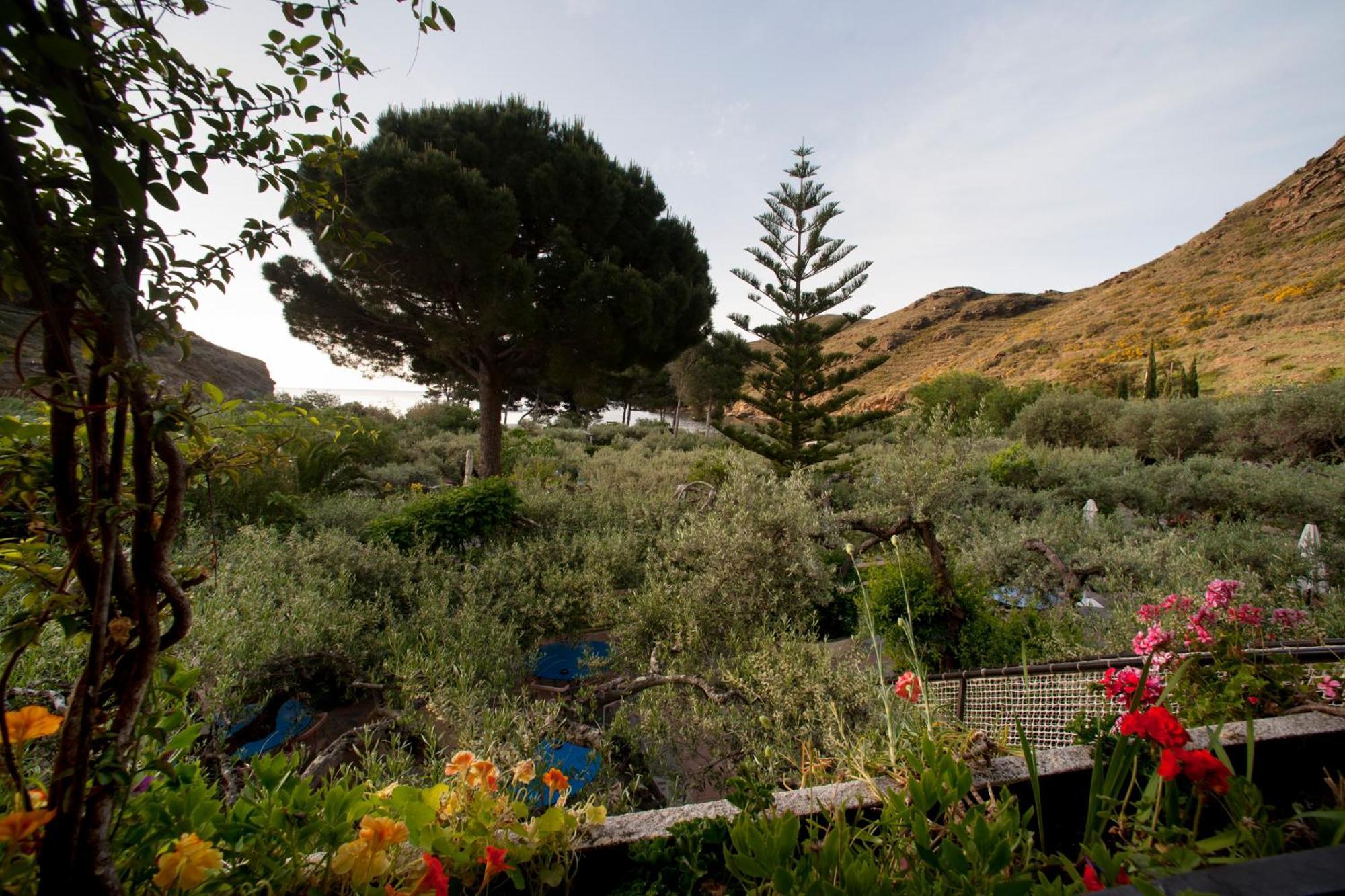Hotel Cala Joncols Rosas Exterior foto